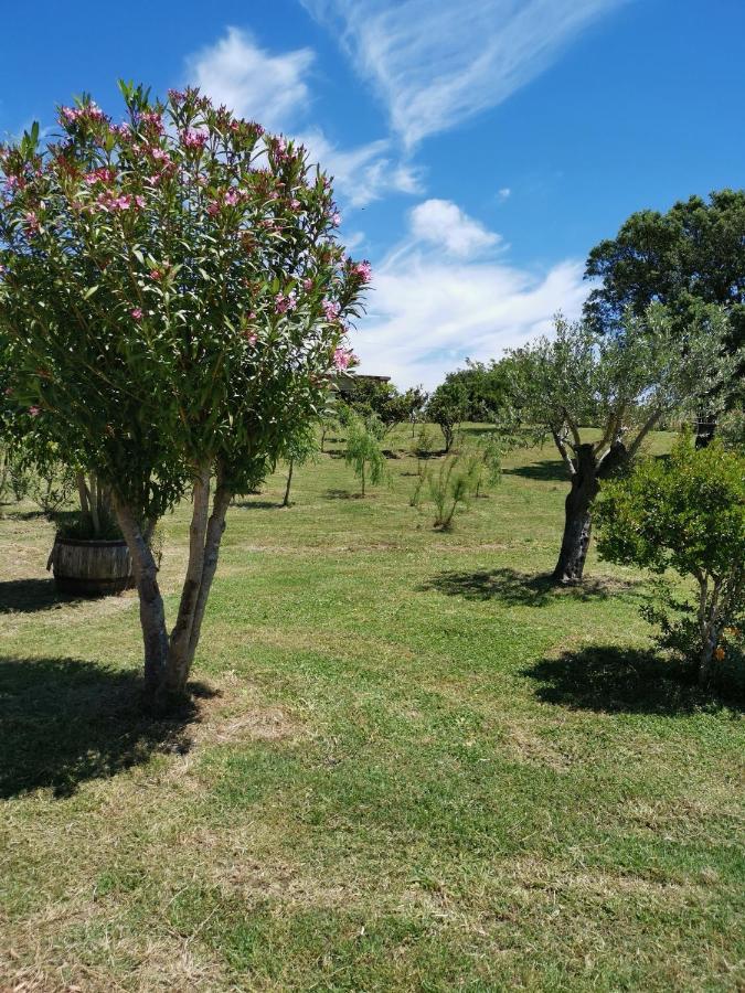 Home Garden Siniscola Exteriér fotografie